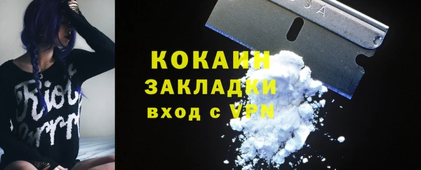 мяу мяу кристалл Няндома