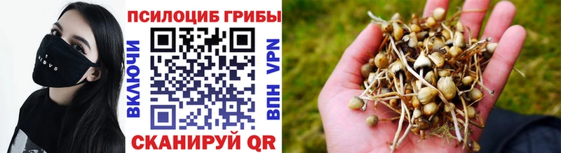 Галлюциногенные грибы Magic Shrooms  Орёл 