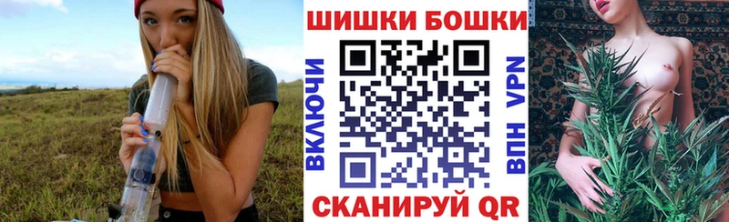Бошки Шишки планчик  закладка  Орёл 